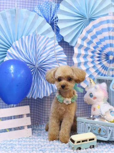 20231126キャンディくん